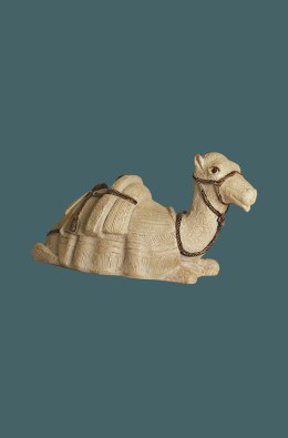 Camelo - Branco - 8 Cm